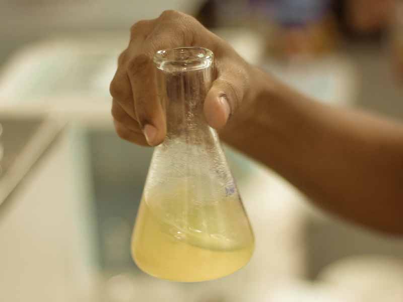 Lorem ipsum dolor sit amet, consectetur adipiscing elit. Phasellus quis elementum odio. Curabitur pellentesque, dolor vel pharetra mollis.