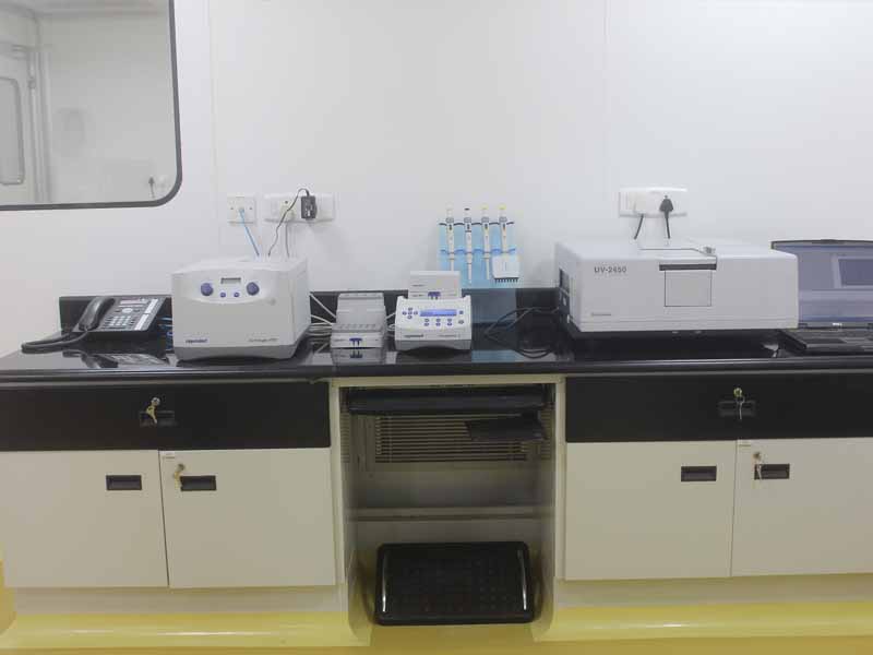 Lorem ipsum dolor sit amet, consectetur adipiscing elit. Phasellus quis elementum odio. Curabitur pellentesque, dolor vel pharetra mollis.