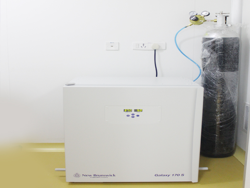 Lorem ipsum dolor sit amet, consectetur adipiscing elit. Phasellus quis elementum odio. Curabitur pellentesque, dolor vel pharetra mollis.