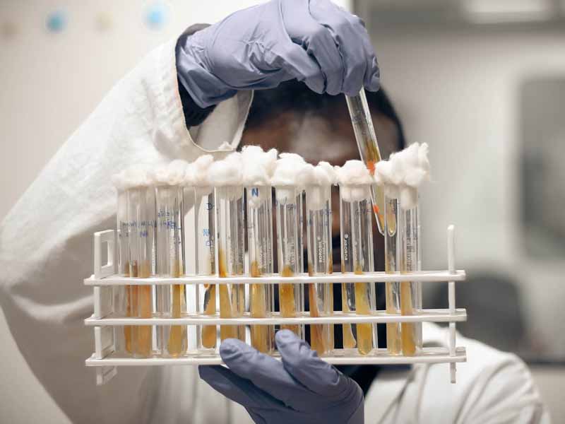 Lorem ipsum dolor sit amet, consectetur adipiscing elit. Phasellus quis elementum odio. Curabitur pellentesque, dolor vel pharetra mollis.