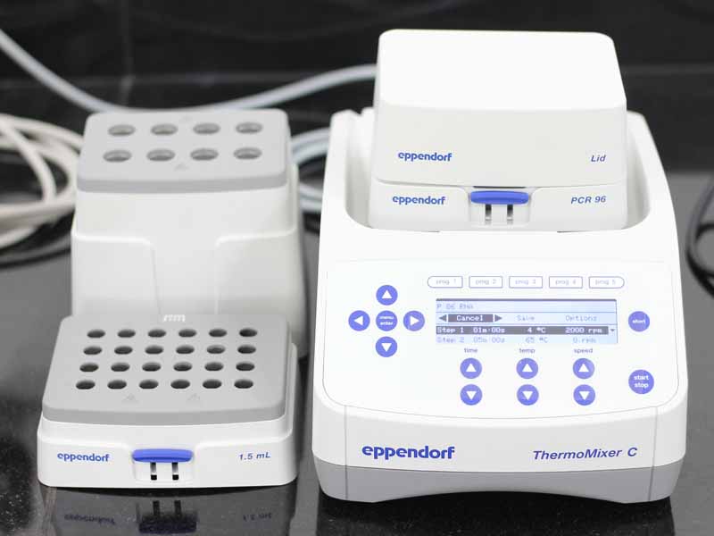 Lorem ipsum dolor sit amet, consectetur adipiscing elit. Phasellus quis elementum odio. Curabitur pellentesque, dolor vel pharetra mollis.