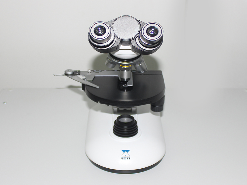 Lorem ipsum dolor sit amet, consectetur adipiscing elit. Phasellus quis elementum odio. Curabitur pellentesque, dolor vel pharetra mollis.