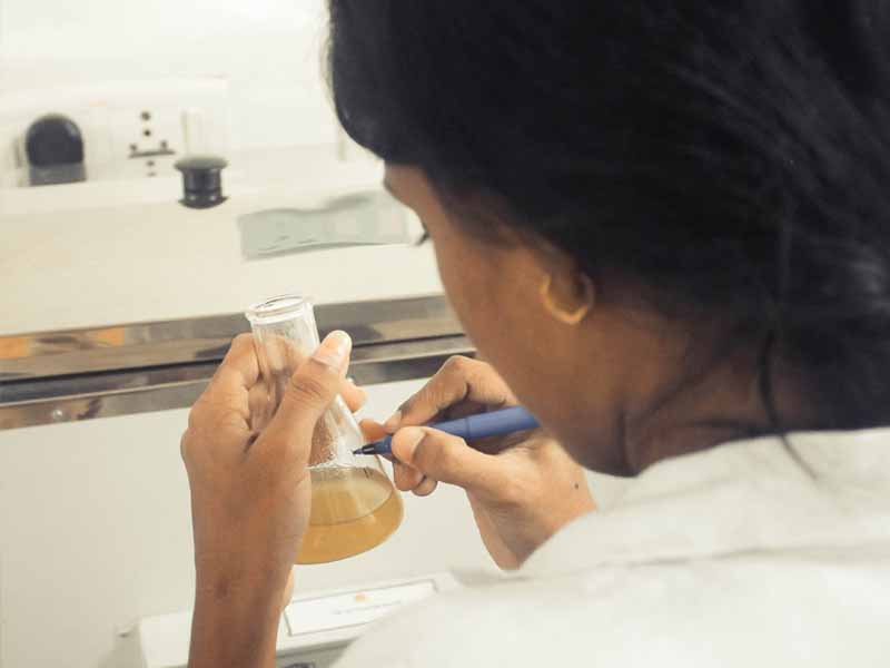 Lorem ipsum dolor sit amet, consectetur adipiscing elit. Phasellus quis elementum odio. Curabitur pellentesque, dolor vel pharetra mollis.