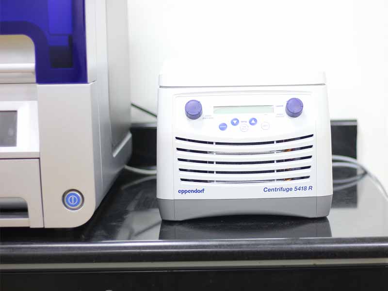 Lorem ipsum dolor sit amet, consectetur adipiscing elit. Phasellus quis elementum odio. Curabitur pellentesque, dolor vel pharetra mollis.