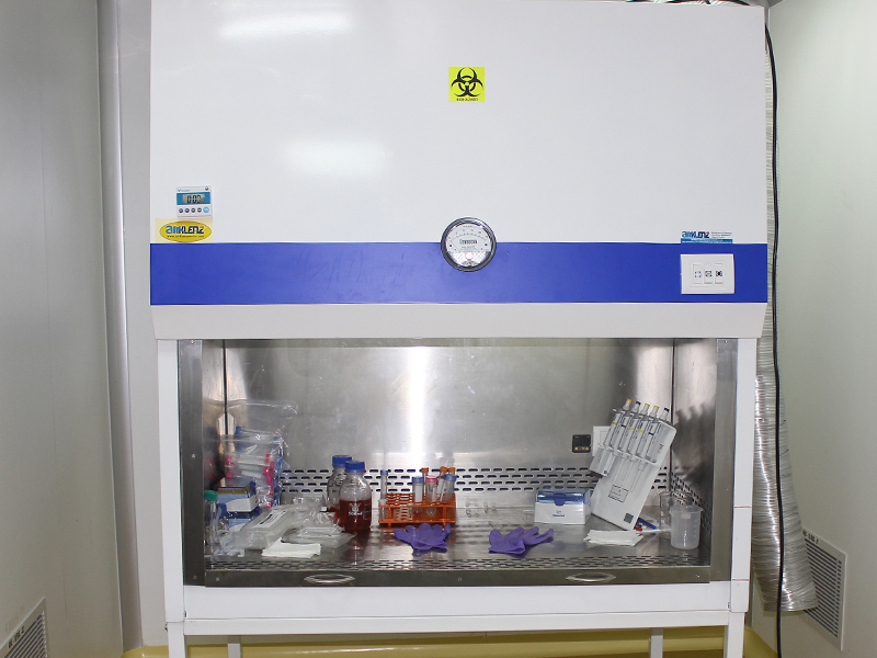 Lorem ipsum dolor sit amet, consectetur adipiscing elit. Phasellus quis elementum odio. Curabitur pellentesque, dolor vel pharetra mollis.