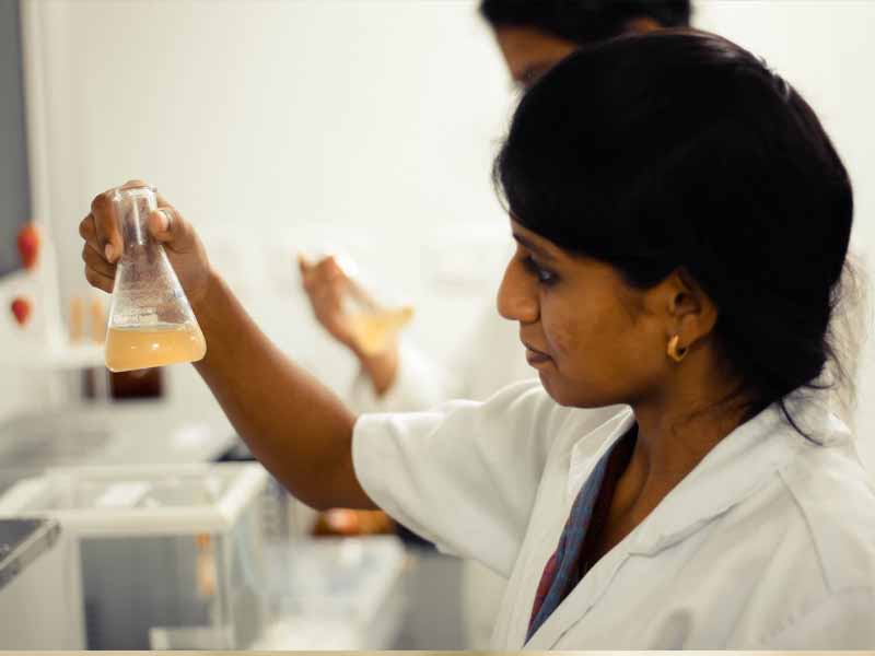 Lorem ipsum dolor sit amet, consectetur adipiscing elit. Phasellus quis elementum odio. Curabitur pellentesque, dolor vel pharetra mollis.