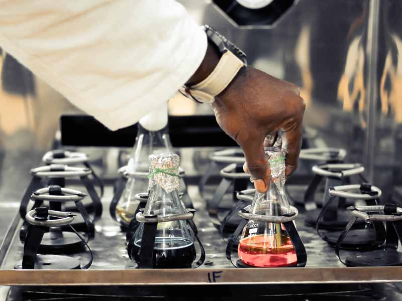 Lorem ipsum dolor sit amet, consectetur adipiscing elit. Phasellus quis elementum odio. Curabitur pellentesque, dolor vel pharetra mollis.