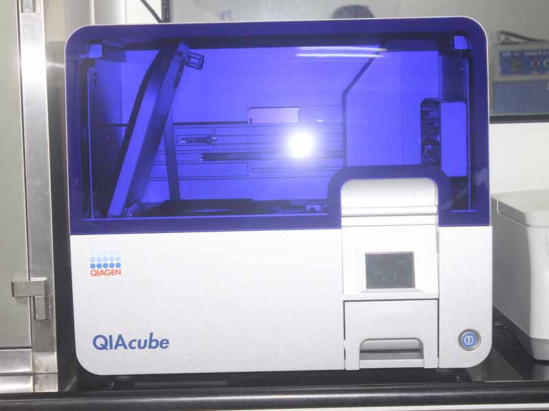 Lorem ipsum dolor sit amet, consectetur adipiscing elit. Phasellus quis elementum odio. Curabitur pellentesque, dolor vel pharetra mollis.